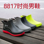 Men's Shoes Model 8817